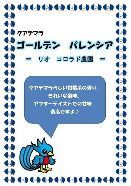 ☆安心の定価販売☆】 コーヒー生豆 5kg グアテマラ ゴールデンパレンシア リオ コロラド農園SHB 大山珈琲 レギュラーコーヒー -  aegis.qa