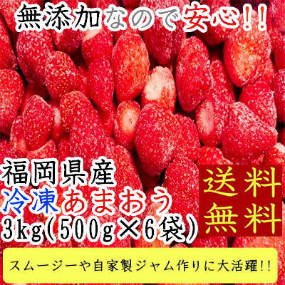 福岡県産　冷凍あまおう3kg(500g6袋)送料無料苺　無添...のサムネイル