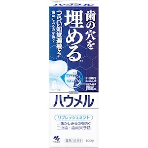 【迅速発送】ハウメル 知覚過敏ケア ペースト 薬用ハミガキ 100g 歯の穴を埋める 小林製薬 【医薬部外品】 1個