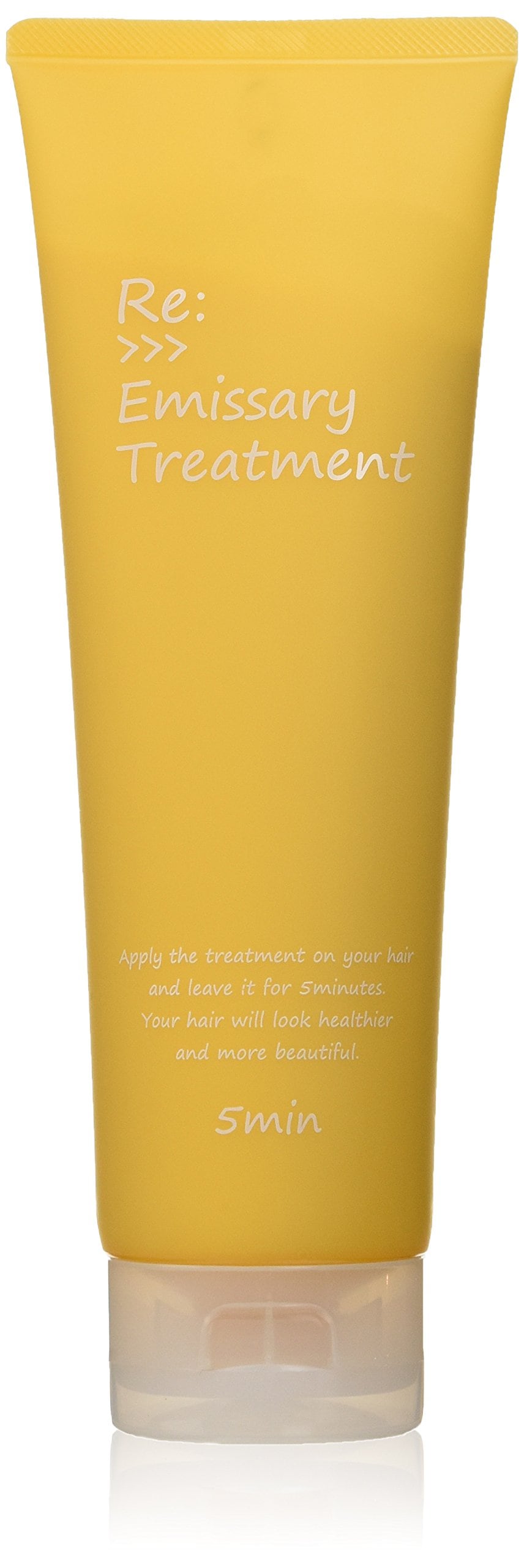 アジュバン ADJUVANT リ：エミサリー トリートメント 250g トリートメント 5,329円