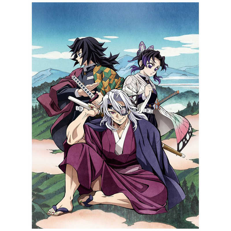 アニプレックス　DVD 【ビックカメラ・コジマ共通オリジナル特典付】鬼滅の刃 柱稽古編 2 完全生産限定盤