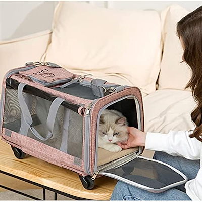 10段階設定ROM付き】ミズホ☆ミリオンゴッド～神々の系譜～【コイン