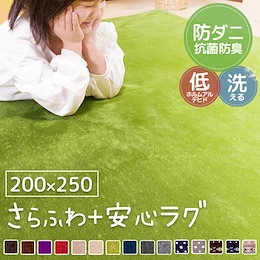 【とろけるような肌触り】 ラグ ラグマット カーペット 防ダニ 抗菌防臭 洗える 200×250cm 3畳 三畳 ウォッシャブル 長方形 フランネルラグ 秋冬 ホットカーペット 床暖房