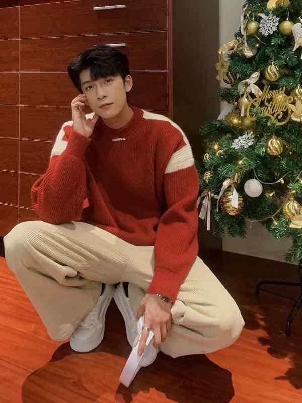 冬 ニット クリスマス セーター 男子用 軽量 大人 小さい タートルネック カップル セーター 韓国 ラウンドネックプルオーバー