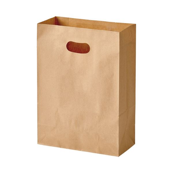 （まとめ）パックタケヤマ 手提げ紙袋 イーグリップ茶無地 L XZT52030 1パック(50枚)(×10セット) 13,613円