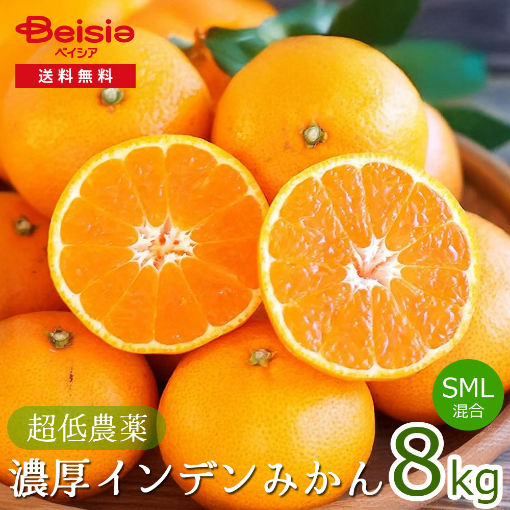 超低農薬 濃厚インデンみかん（S・M・L混合）8kg みかん 8kg 超低農薬 濃厚 インデンみかん S M L 混合 温州みかん 蜜柑 ミカン 家庭用 デザート フルーツ 果物 旬の味覚 秋の味