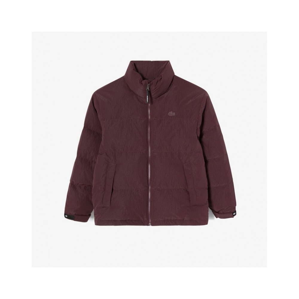 ラコステメンズダウンジャンパー BH713E-54N BZD