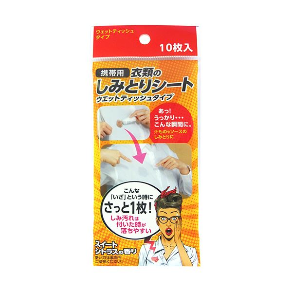 （まとめ）友和 携帯用 衣類のしみとりシート 1セット（300枚：10枚x30パック）[x3セット]