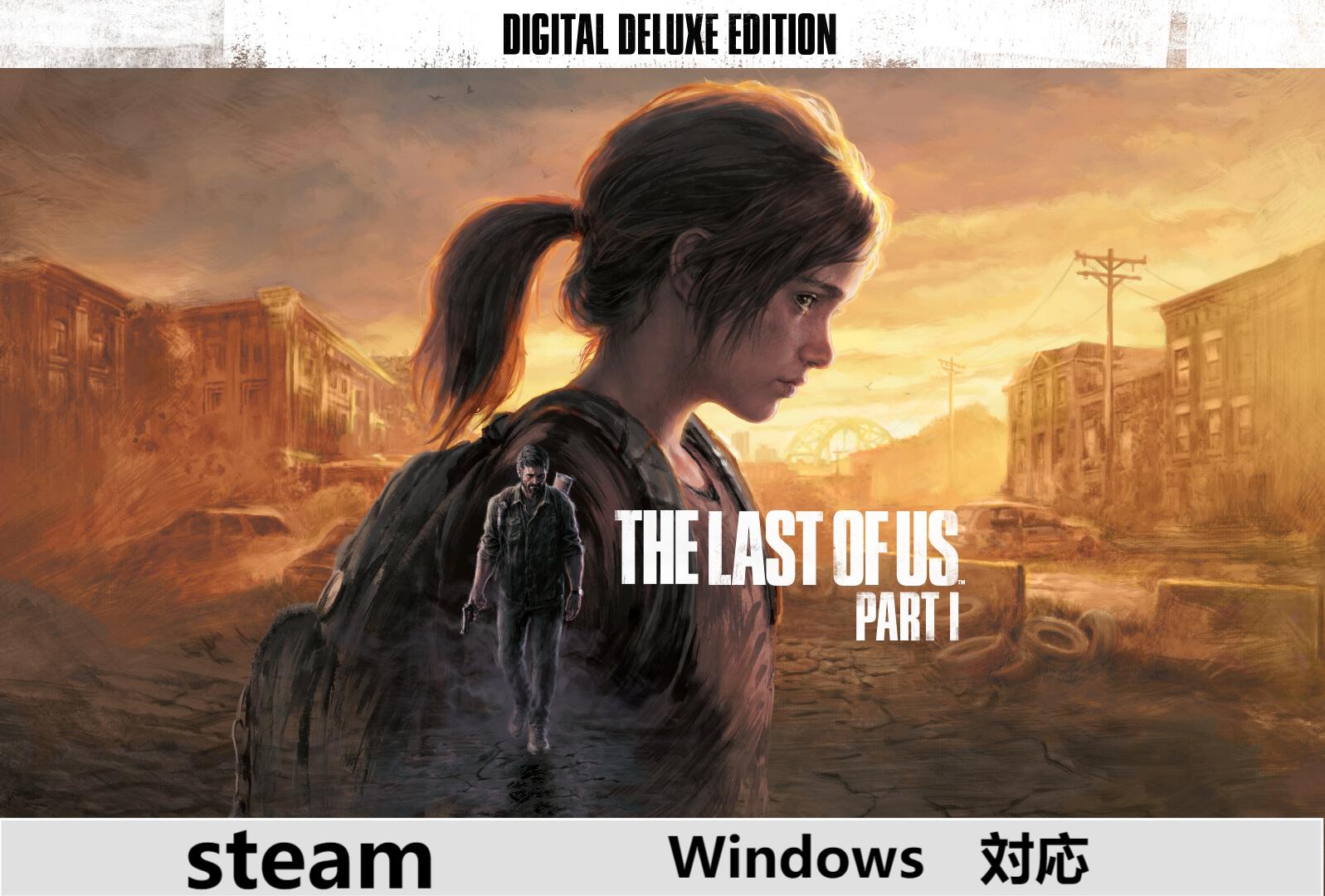 【Steamキーコード】 ザ・ラスト・オブ・アス 2時間内メール 納品ダウンロード オンラインコード ダブルクロス DLC cdkey cdキー ゲーム パッケージ プロダクトキー STEAM版コード