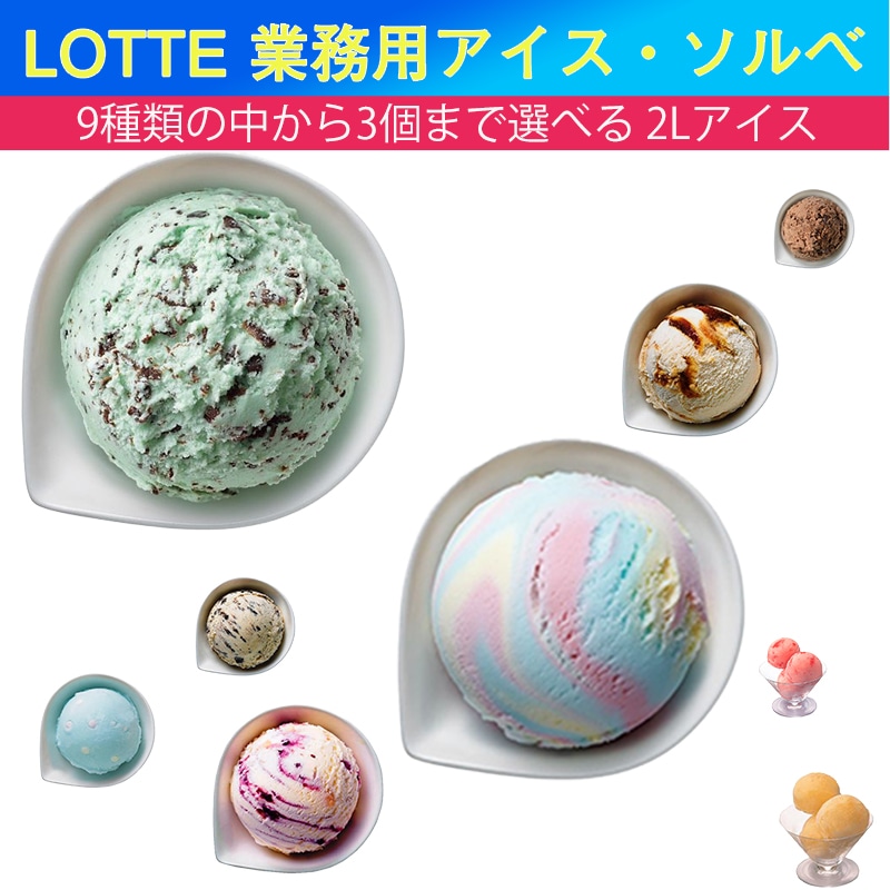 アイスクリーム　ソルベ　業務用　２Lｘ３ケース　楽しく選べる業務用アイスクリーム 5,206円