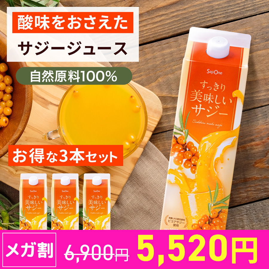 サジージュース すっきり美味しいサジー 1000ml 3本セット 鉄分補給 オレンジ ゆず 美容 健康