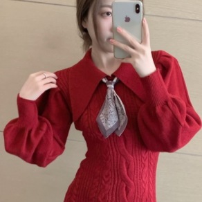 ざっくりニットワンピース ワンピース ニット ひざ丈 長袖 ハイネック タートルネック ストレート