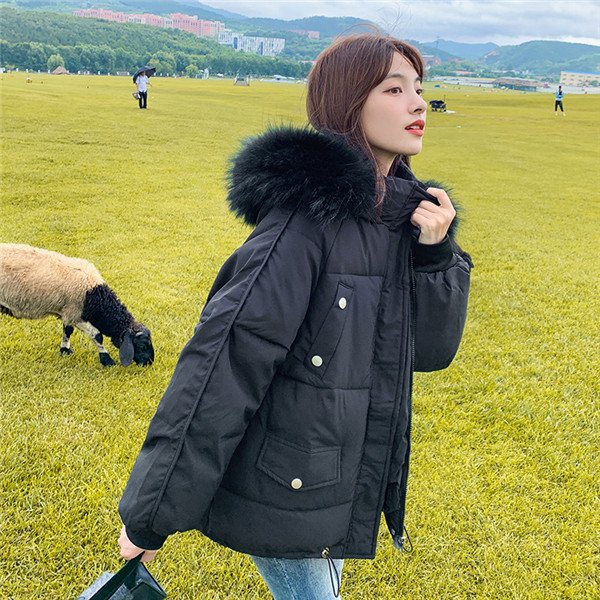 中綿コートダウンジャケットショート丈厚防風防寒冬フード付コート羽織りレディース中綿ジャケット通勤通学ファーコート