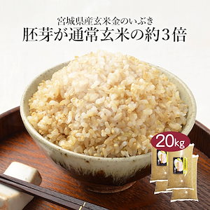 玄米 宮城県産 金のいぶき 20kg 5kg 4セット 令和5年度産 米 お米 こめ 20キロ 安い おこめ 国産 食品 栄養 健康 ギフト 引っ越し 内祝い お歳暮 送料無料 おくさま印 新米