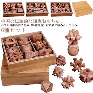 知育おもちゃ パズル トレーニング 木製 脳 大人 ブロック 子供 木製 3D 立体パズル セット 置物 知的 孔明 天然木の立体ウッドパズル6種セット