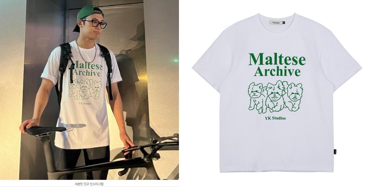 Seventeen ミンギュ着用 多くのK-POPスターが着用 プリント 半袖 ドロップショルダー Tシャツ・カットソー　マルチーズアーカイブライングラフィック半袖Tシャツ 3色　UNISEX