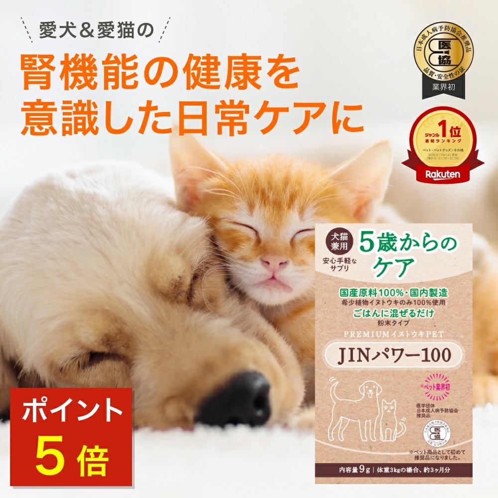 5歳からのケア 『JINパワー100』 イヌトウキ 犬 猫 腎臓 サプリ サプリメント フード おやつ ケア 国産 純日本産 犬用 猫用 腎ケア ごはん 混ぜるだけ ペット 【こねこ便での発送のため配