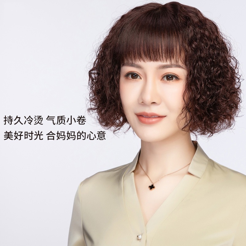 ウィッグ 女性 ショート 巻き毛 フル人毛 ナチュラルで快適 中高お母さん フルヘアセット- ナチュラルカラー ダークブラウン