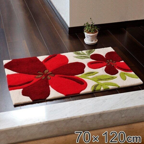 玄関マット 屋内用 アベル 70x120cm