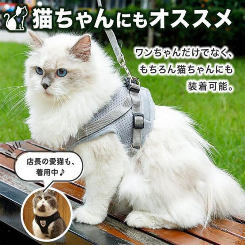 犬 猫 ハーネス 脱げない 犬用 おしゃれ 小型犬 子犬 子猫 ハーネスリード ベストリード付ハーネス でらくらく散歩 犬猫兼用