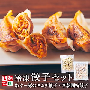 餃子セット（特餃子,あぐー豚のキムチ餃子） 冷凍 48個