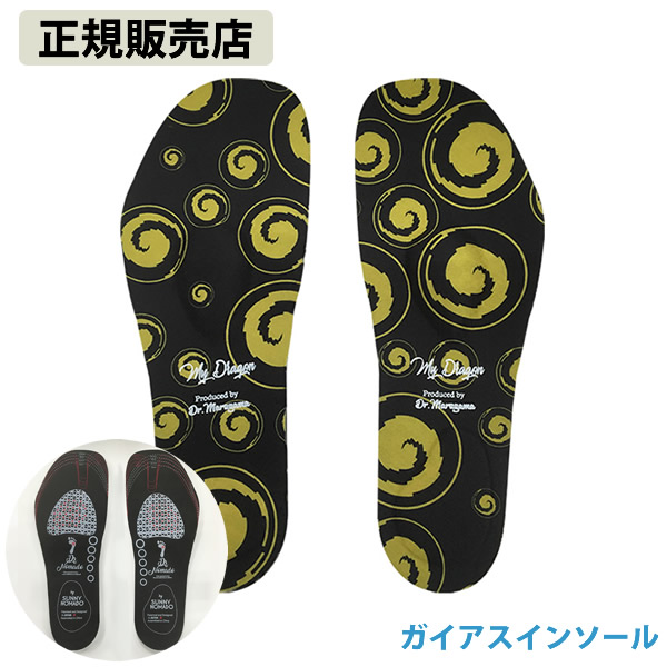 ガイアスインソール (ネコポス送料無料) 中敷き 靴 シューズ インソール クスリエ 特殊ナノセラミックスシート 足裏形状記憶素材 カタカムナ ゴールデンドラゴン
