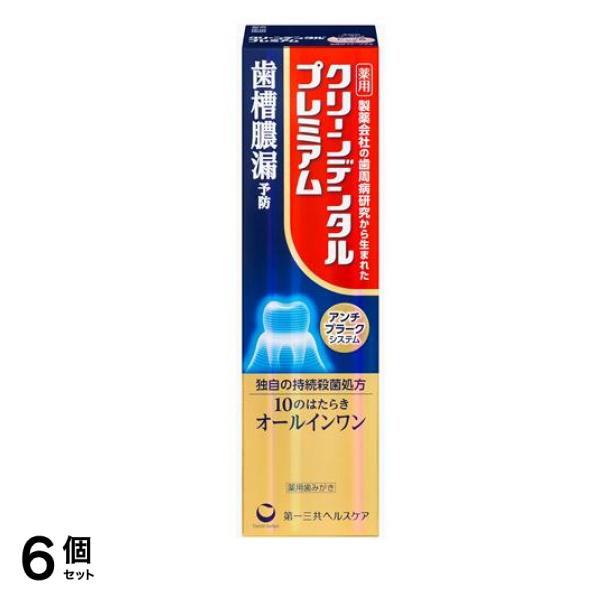 クリーンデンタルプレミアム 薬用歯みがき 100g 6個セット