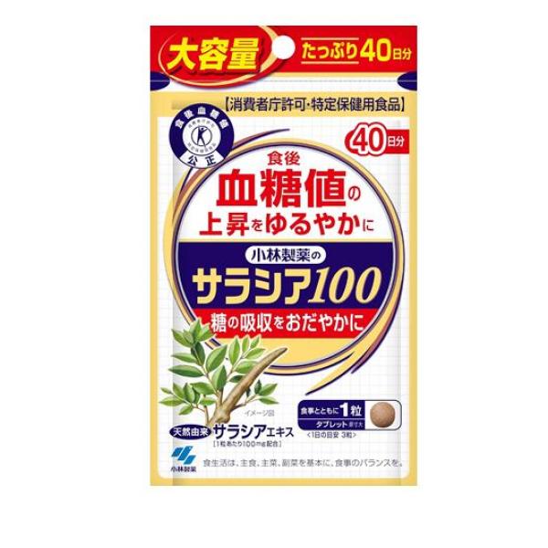 小林製薬 サラシア100 特定保健用食品 大容量40日分 120粒