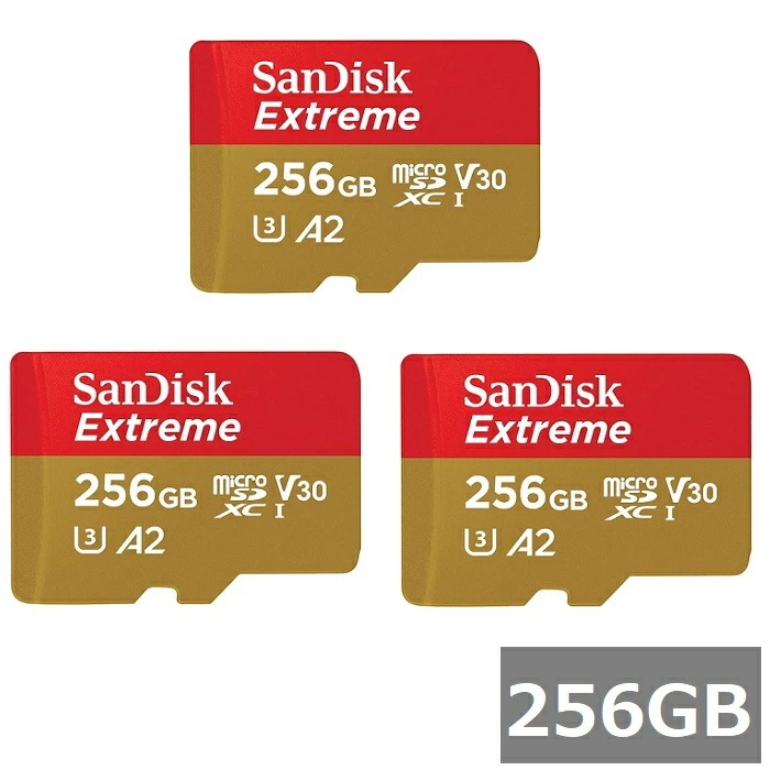 【3セット】 サンディスク マイクロSD MicroSDXC SDSQXAV-256G-GN6MN Extreme 256GB Sandisk マイクロSDXCカード microSDカード C