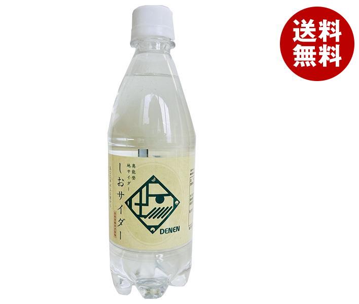 Ante(アンテ) 奥能登地サイダー しおサイダー 500mlPET＊24本入＊(2ケース)