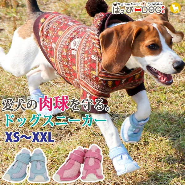 安い 犬 手編み 靴