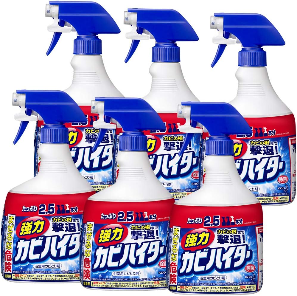 ケース販売 強力カビハイター カビ取り剤 ハンディスプレー 本体 大容量 1000ml×6個