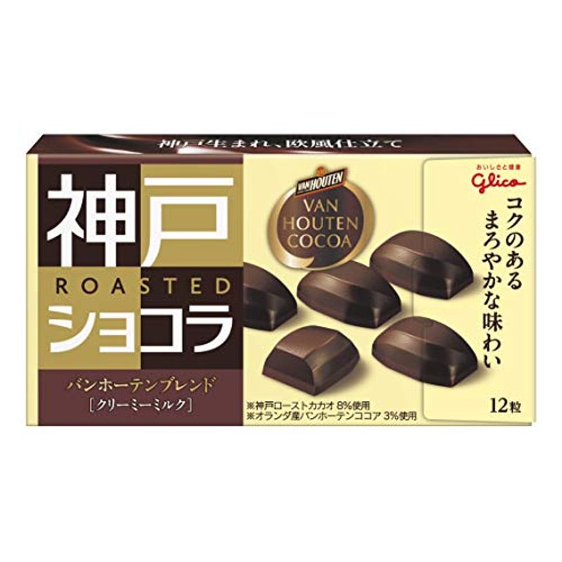 江崎グリコ バンホーテンブレンド(クリーミーミルク) 53g10個 チョコレートお菓子
