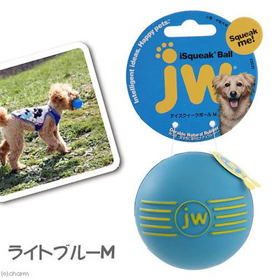 他サイト： プラッツ　ｊｗ　アイスクィークボール　Ｍ　ライトブルー　ＣＲＣ40―58―91―90―05の商品画像