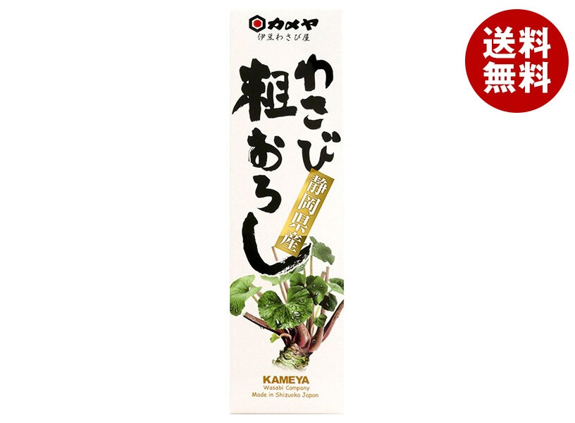 カメヤ食品 わさび粗おろし 50g×10本入×(2ケース)