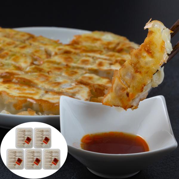 鹿児島県産黒豚使用 黒豚ぎょうざ 12個入x5 SISK