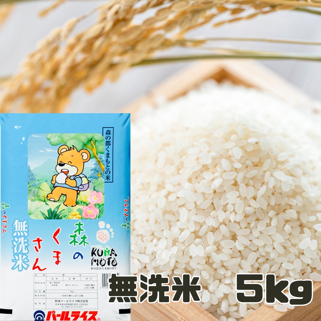 無洗米　くまもとのお米　5kg　熊本県　追加購入ok　コメ　精米　主食　お米 お米 米 5kg 白米 送料無料 熊本県産 森のくまさん 新米 令和6