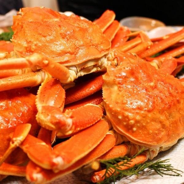 ズワイガニ ボイル ズワイ蟹 ボイルズワイガニ 900g 2尾 ずわいがに 札幌 札幌中央卸売市場 北海道産