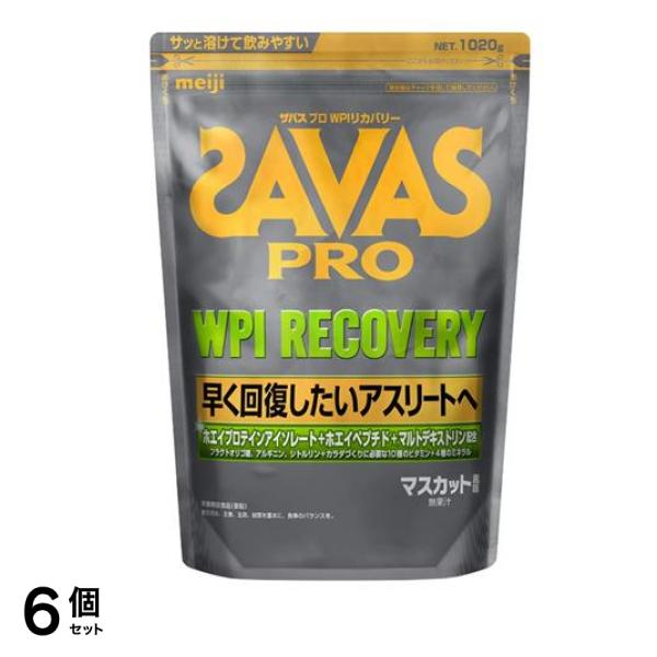 SAVAS PRO ザバス プロ WPIリカバリー プロテイン マスカット風味 1020g 6個セット