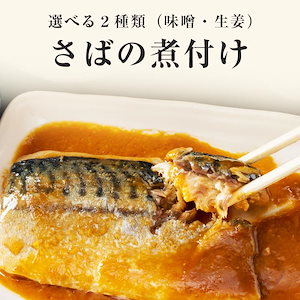 選べる あじ いわし さばの煮付け 10切 1袋 400g さば 鯖 サバ 魚 鯖の味噌煮 鯖の生姜煮 生姜煮 味噌煮 煮魚 切り身 惣菜 簡単調理 レトルト 時短調理 旨さに 訳あり [メール便]