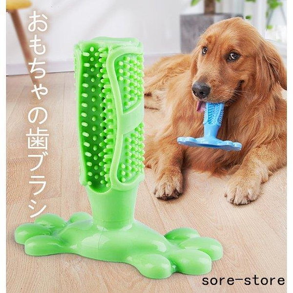 Qoo10] ペット用歯ブラシ 犬歯ブラシ おもしろい