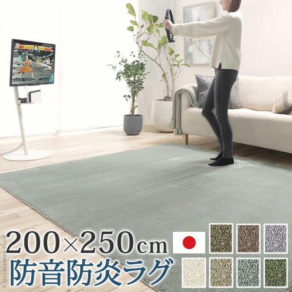 ラグ ラグカーペット 長方形 防音防炎ラグ-エイヴァ 200x250cm リビング 高級感 おしゃれ 北欧 シンプル 無地調 極細 ホットカーペット対応 オールシーズン 防音 防ダニ 防炎 すべり止