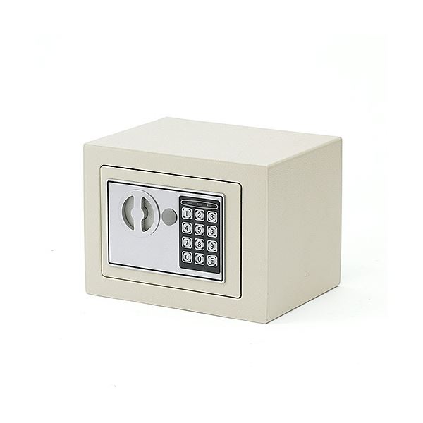 サンワダイレクト 小型電子金庫(テンキー鍵式壁掛け対応小型5.2リットル) 200-SL039GY 1台