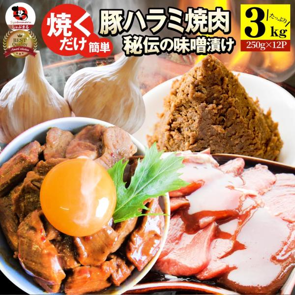 焼肉 豚ハラミ焼肉（味噌タレ漬け）3kg（250g×12） タレ 秘伝 焼肉セット 焼肉 ランキング1位 やきにく ハラミ アウトドア レジャー 送料無料 6,863円