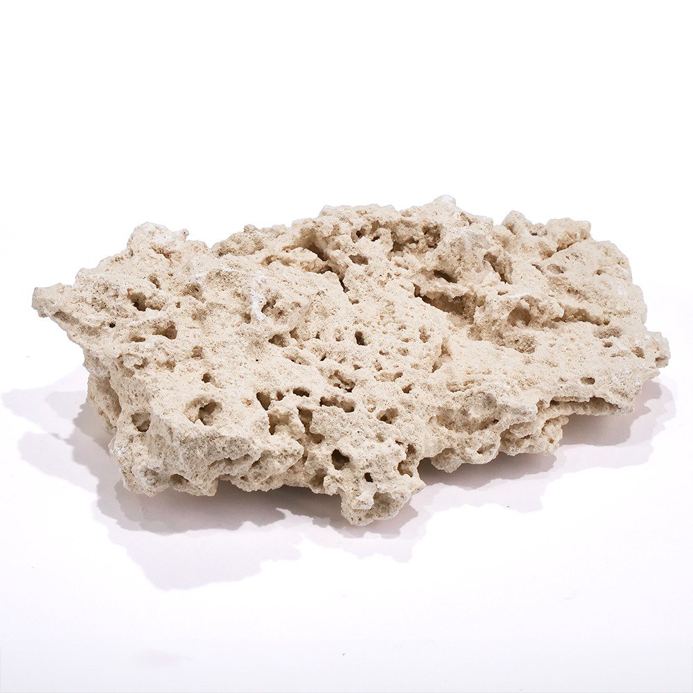 マルコロック　シェルフ　Ｌサイズ　１個　サンゴ　石　海水　水槽　飾り　レイアウト　ＣＲＣ21―20―90―00―00