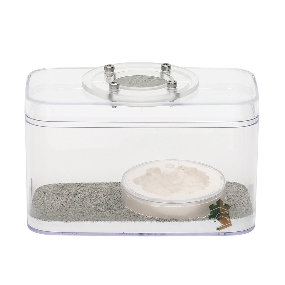 リトルカーペンターズ　アリ飼育用　レイアウト済み餌場　シングルルーム　蟻　飼育容器　ＣＲＣ18―35―97―00―00