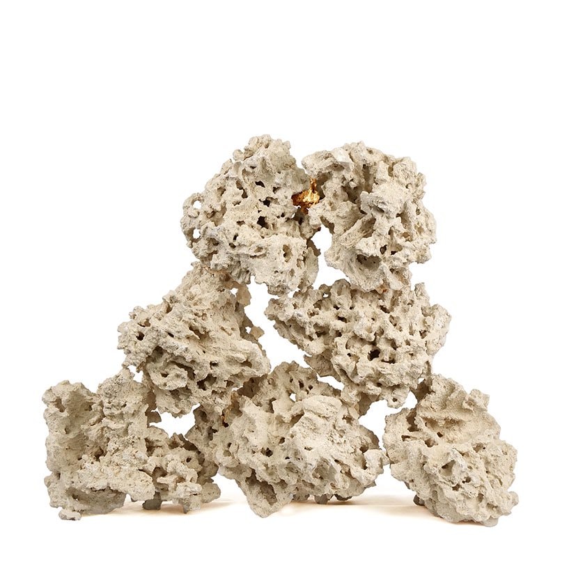 マルコロック　リーフセーバー　エッジ（Ｅｄｇｅ）　Ｍサイズ　８ー１０ｋｇ　サンゴ　石　海水　水槽　飾り　レイアウト　ＣＲＣ21―20―90―00―00