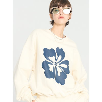 P.mericurius（1オス、中国青海省マチン山） P.mericurius（1オス、中国青海省マチン山）