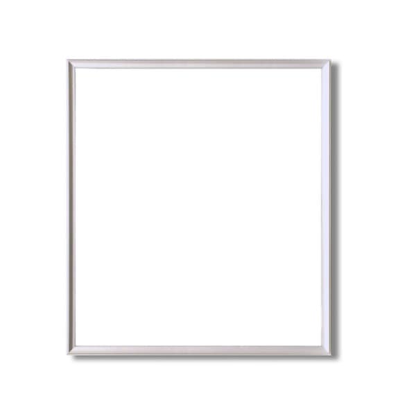 デッサン額縁 額 フレーム ( 三三サイズ 606×455mm ) シルバー 壁掛けひも付き 化粧箱入り 5003