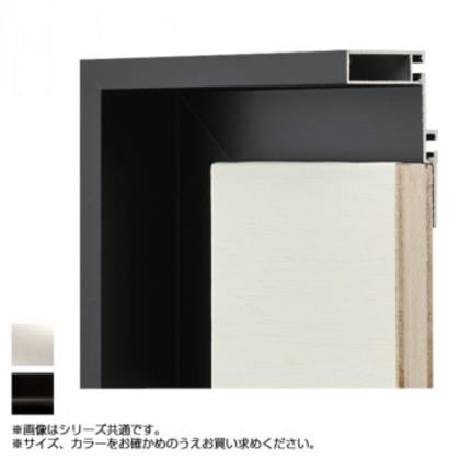 アルナ アルミフレーム 仮縁 コア FサイズF12 ブラック・7604